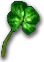 Four-Leaf Clover