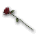 Rose Focus