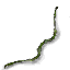 Swiftscale's Shortbow