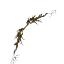 Urgoz's Longbow