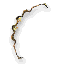 Vabbian Flatbow