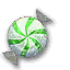 Wintergreen Shield